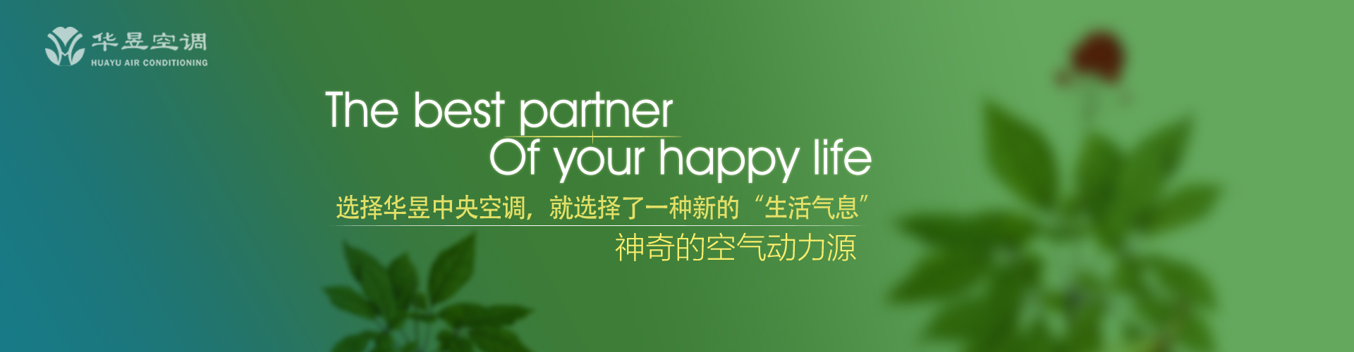 难舍难分网